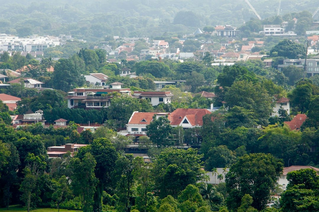 Houses in a wooded Lentor estate area